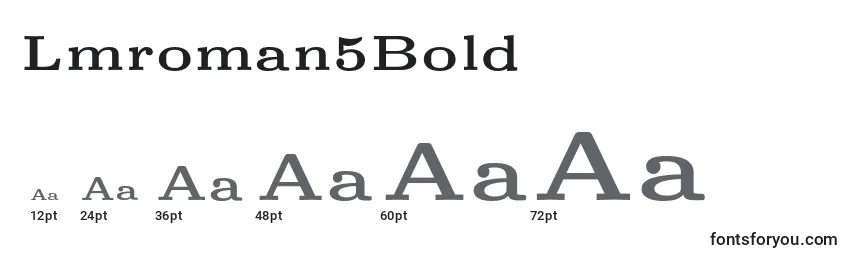 Размеры шрифта Lmroman5Bold