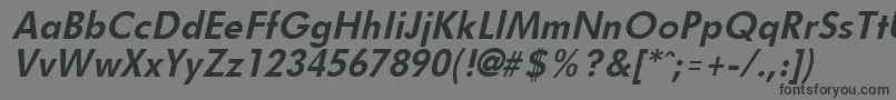 FuturistBoldItalic Font – Black Fonts on Gray Background
