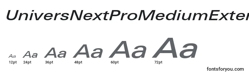 UniversNextProMediumExtendedItalic Font Sizes