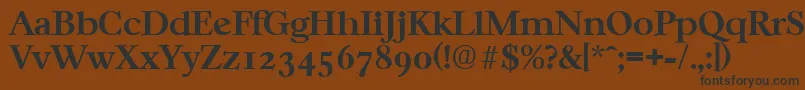 フォントCasablancaSerialBoldDb – 黒い文字が茶色の背景にあります