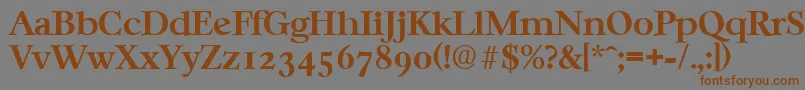 Шрифт CasablancaSerialBoldDb – коричневые шрифты на сером фоне