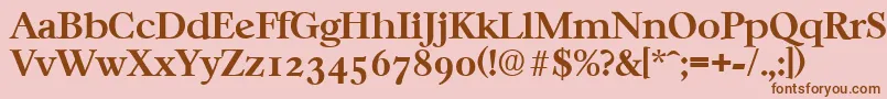 CasablancaSerialBoldDb Font – Brown Fonts on Pink Background