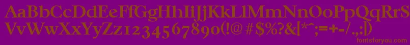 CasablancaSerialBoldDb Font – Brown Fonts on Purple Background