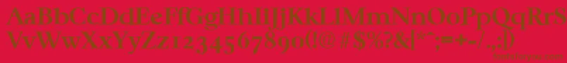 CasablancaSerialBoldDb Font – Brown Fonts on Red Background