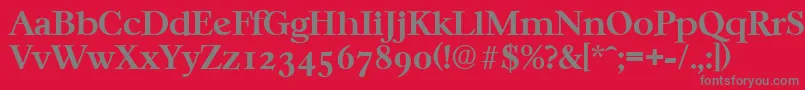 CasablancaSerialBoldDb Font – Gray Fonts on Red Background