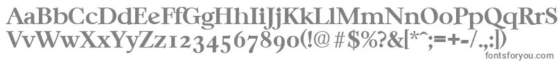 フォントCasablancaSerialBoldDb – 白い背景に灰色の文字