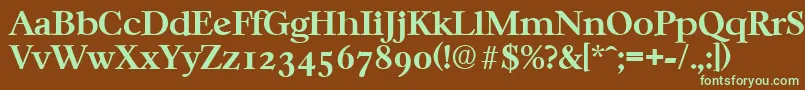 CasablancaSerialBoldDb Font – Green Fonts on Brown Background