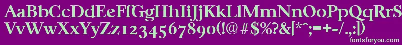 CasablancaSerialBoldDb Font – Green Fonts on Purple Background