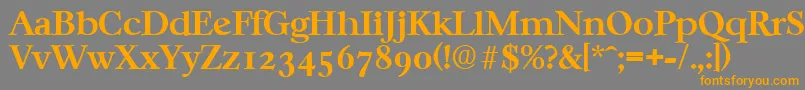 CasablancaSerialBoldDb Font – Orange Fonts on Gray Background