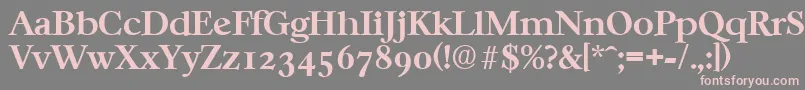 CasablancaSerialBoldDb Font – Pink Fonts on Gray Background