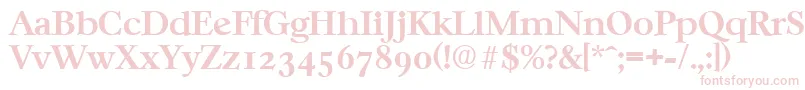 CasablancaSerialBoldDb Font – Pink Fonts on White Background