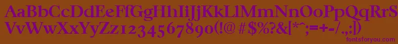 CasablancaSerialBoldDb Font – Purple Fonts on Brown Background