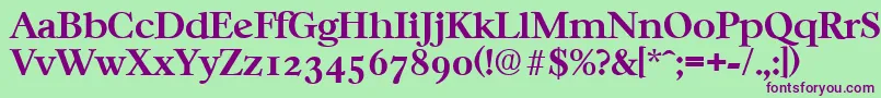 CasablancaSerialBoldDb Font – Purple Fonts on Green Background