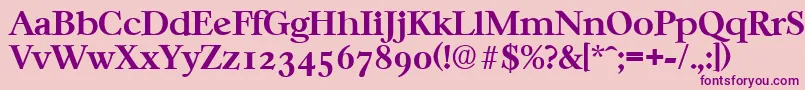 CasablancaSerialBoldDb Font – Purple Fonts on Pink Background