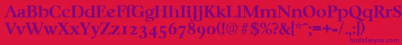 CasablancaSerialBoldDb Font – Purple Fonts on Red Background