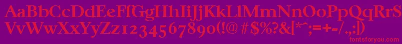 CasablancaSerialBoldDb Font – Red Fonts on Purple Background