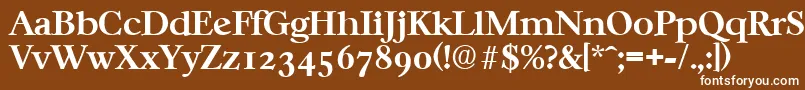 フォントCasablancaSerialBoldDb – 茶色の背景に白い文字