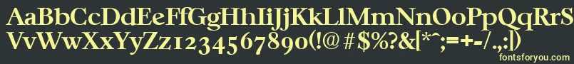 CasablancaSerialBoldDb Font – Yellow Fonts on Black Background