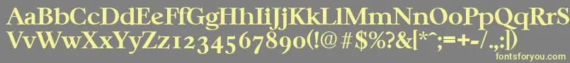 CasablancaSerialBoldDb Font – Yellow Fonts on Gray Background