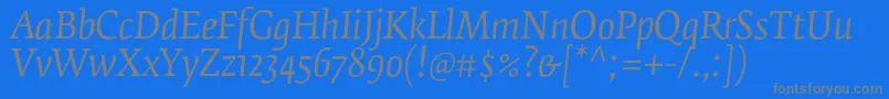 FedraserifbproBookitalic Font – Gray Fonts on Blue Background