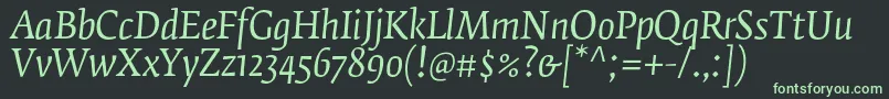 フォントFedraserifbproBookitalic – 黒い背景に緑の文字