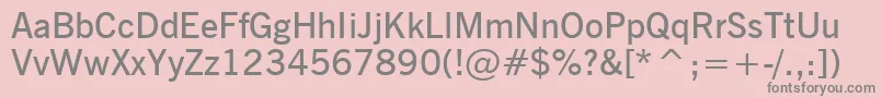 フォントNewsGothicDemiBt – ピンクの背景に灰色の文字