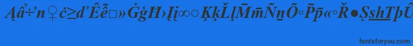 フォントTimesNewRomanSpecialG2BoldItalic – 黒い文字の青い背景