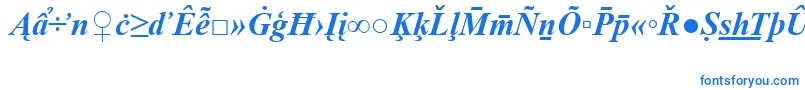 フォントTimesNewRomanSpecialG2BoldItalic – 白い背景に青い文字