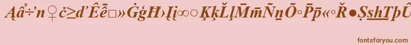 TimesNewRomanSpecialG2BoldItalic-fontti – ruskeat fontit vaaleanpunaisella taustalla