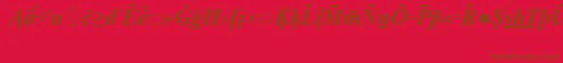 フォントTimesNewRomanSpecialG2BoldItalic – 赤い背景に茶色の文字