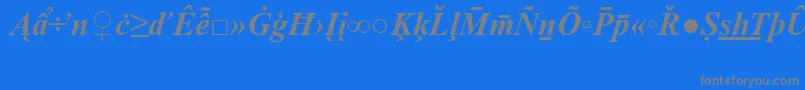 Шрифт TimesNewRomanSpecialG2BoldItalic – серые шрифты на синем фоне