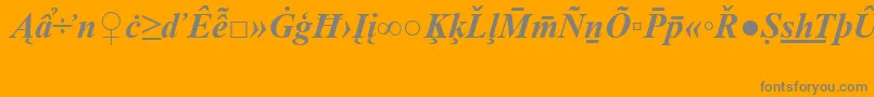TimesNewRomanSpecialG2BoldItalic-fontti – harmaat kirjasimet oranssilla taustalla