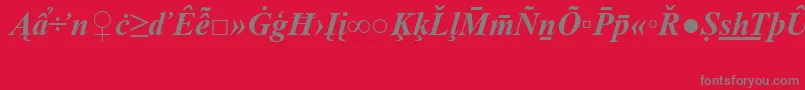 TimesNewRomanSpecialG2BoldItalic Font – Gray Fonts on Red Background