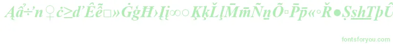 TimesNewRomanSpecialG2BoldItalic Font – Green Fonts on White Background