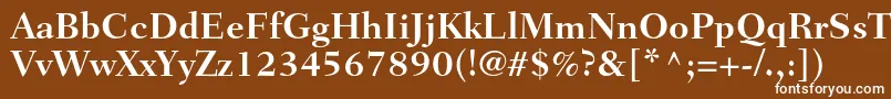 フォントFairfieldltstdBold – 茶色の背景に白い文字