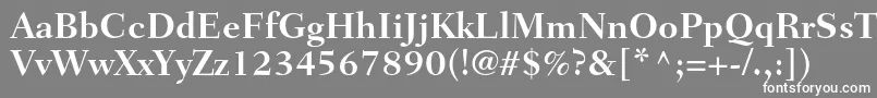 フォントFairfieldltstdBold – 灰色の背景に白い文字