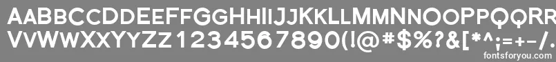 フォントFlorsn35 – 灰色の背景に白い文字