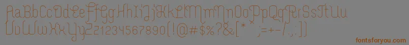 MerijntjeLight Font – Brown Fonts on Gray Background