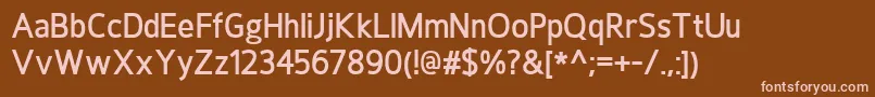 Шрифт HoxtonDemibold – розовые шрифты на коричневом фоне