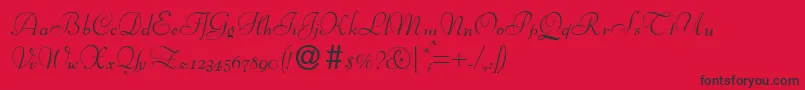 BernhardscriptRegular Font – Black Fonts on Red Background