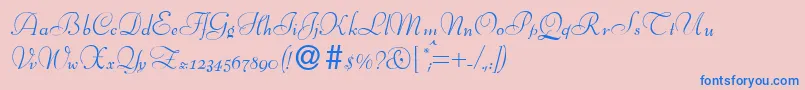 Police BernhardscriptRegular – polices bleues sur fond rose