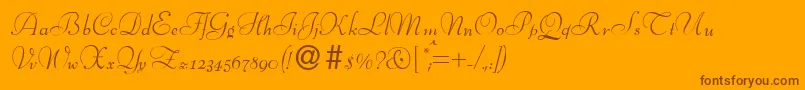 BernhardscriptRegular Font – Brown Fonts on Orange Background