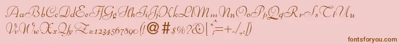 Police BernhardscriptRegular – polices brunes sur fond rose