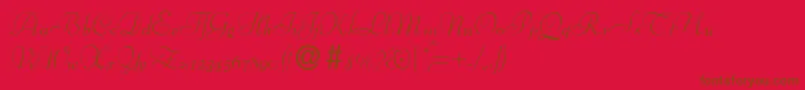 BernhardscriptRegular Font – Brown Fonts on Red Background