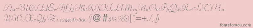 BernhardscriptRegular Font – Gray Fonts on Pink Background