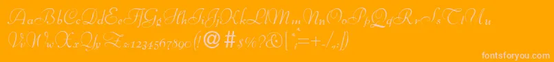More about BernhardscriptRegular Font BernhardscriptRegular Font – Pink Fonts on Orange Background