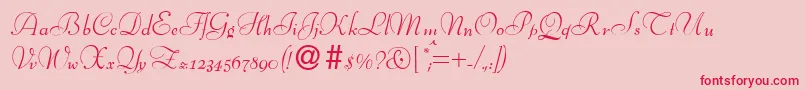 BernhardscriptRegular Font – Red Fonts on Pink Background