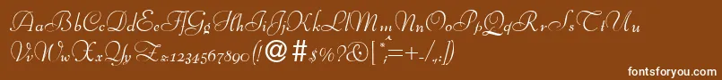 フォントBernhardscriptRegular – 茶色の背景に白い文字