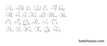 BernhardscriptRegular Font