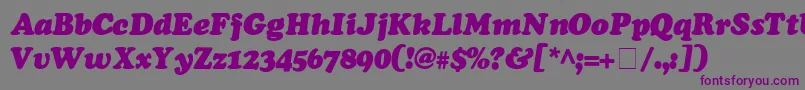 フォントCooperSsiExtraBlackItalic – 紫色のフォント、灰色の背景